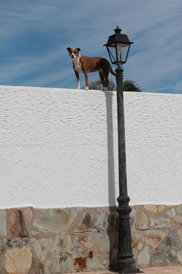 Golf View Apartment - Stunning Ocean View Golf Del Sur San Miguel de Abona Extérieur photo